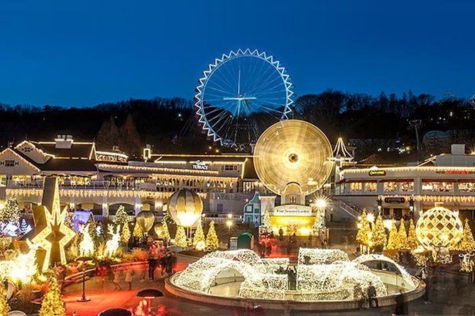 Private 4 days Nami Island&Petite France&Seoul&Everland tour - Who this tour fits best, and who should think twice