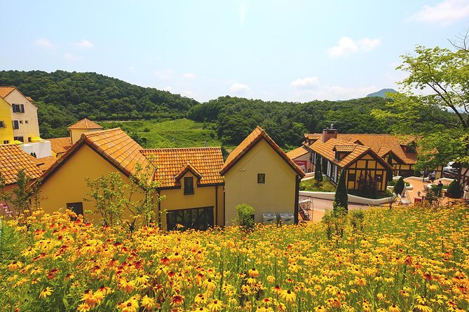 Private 4 days Nami Island&Petite France&Seoul&Everland tour - Practical tips to make the schedule feel easy