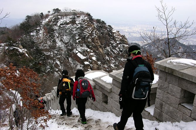 Private Bukhansan Hiking Tour (More Members Less Cost per Person) - The Private Small-Group Setup: How the Pace Gets Tailored