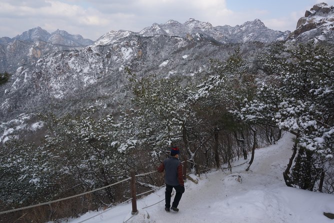 Private Bukhansan Hiking Tour (More Members Less Cost per Person) - Who This Tour Suits Best (And Who Might Want Another Option)