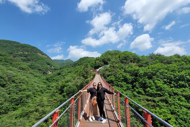 Private DMZ Tour and Suspension Bridge + Korean BBQ - Key highlights I’d plan around