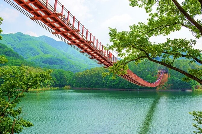 Private DMZ Tour (No Shopping): 3rd Tunnel & Suspension Bridge - The 8–9 hour flow: where time goes and why it matters