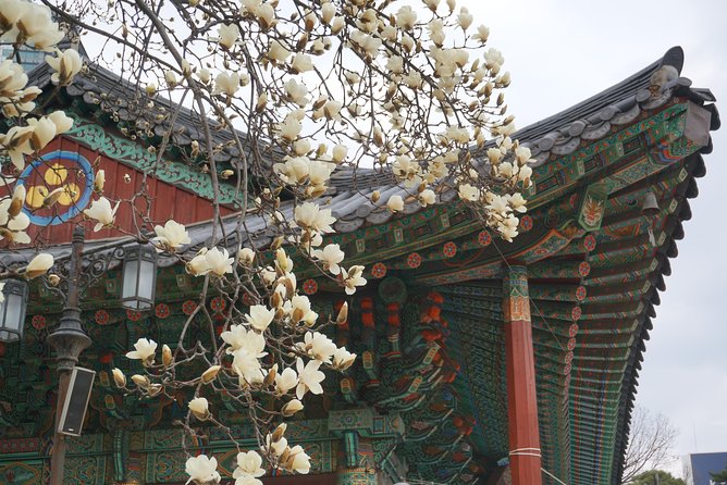 Private English Speaking Driver in Seoul: Airport Service Available - Palaces and viewpoints: planning for time and walking
