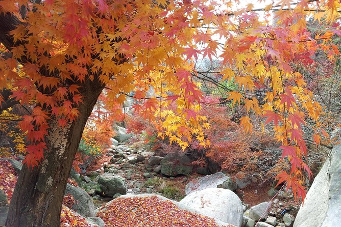 Private Hiking to Bukhansan & Korean Style Spa(Include Lunch) - The Korean spa (jimjilbang): recovery with culture