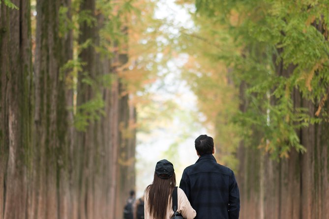 Private Nami Island Photo Shoot and Tour with a Photographer - What the Photographer Will Do on Nami Island