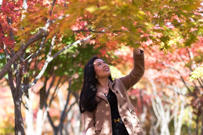Private Nami Island Photo Shoot and Tour with a Photographer - Getting 300 Photos Plus 30 Edited Shots