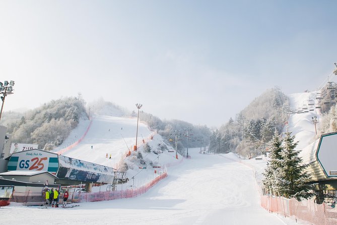 Private Ski Tour(Lesson) near Seoul at Elysian Gangchon Resort - Elysian Gangchon’s Slopes Are Built for Learning (Not Surviving)
