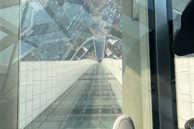 Private tour Lotte World,Tower,Aquarium(All Tickets are included) - Lotte World Tower and Seoul Sky: 555m of Modern Seoul With Photo Stops