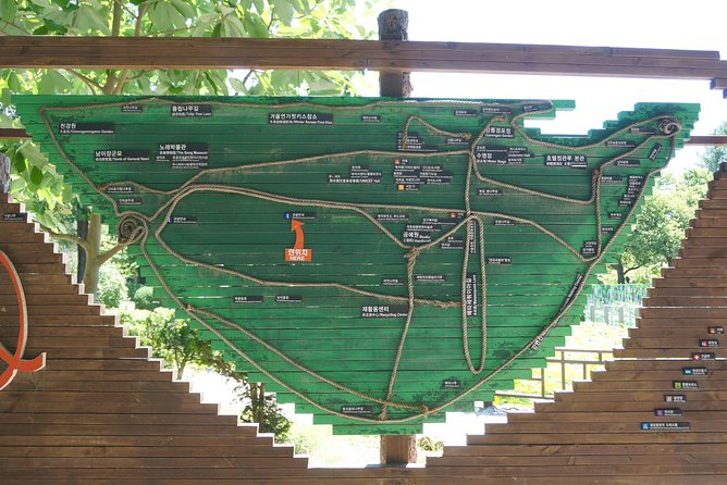 Private Tour: Nami Island& (Alpaca World 'or' Morning Calm)&Lunch - Lunch, Timing, and How to Keep the Day Comfortable