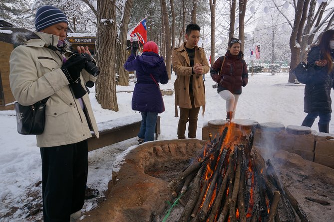 Private Tour: Nami Island& (Alpaca World 'or' Morning Calm)&Lunch - Price and Value: What You’re Really Paying For
