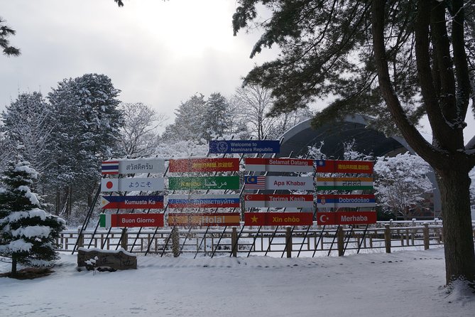Private Tour: Nami Island& (Alpaca World 'or' Morning Calm)&Lunch - Who This Tour Fits Best (and Who Might Want a Different Plan)