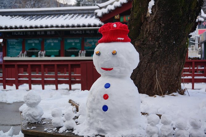 Private Tour: Nami Island& (Alpaca World 'or' Morning Calm)&Lunch - Should You Book This Private Nami Island Day?