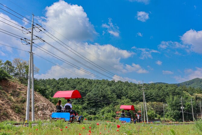 (Private tour) Nami Island + Railbike + Garden of morning calm - The 8:00 am start that sets the tone