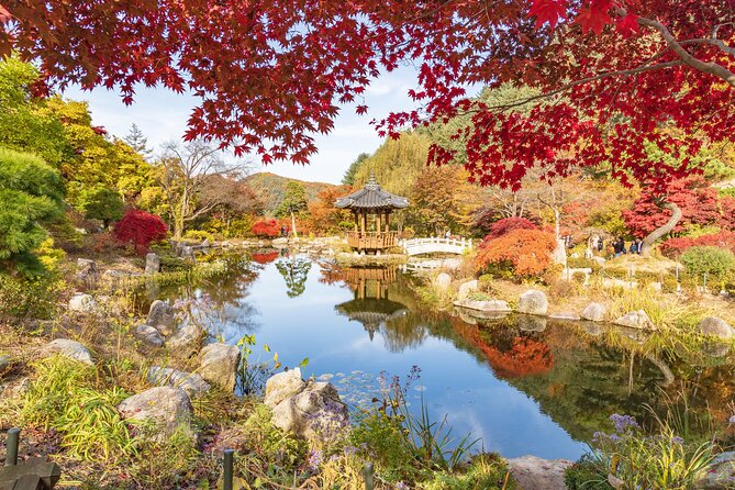 (Private tour) Nami Island + Railbike + Garden of morning calm - Gangchon Rail Bike: scenery time with a built-in break from walking