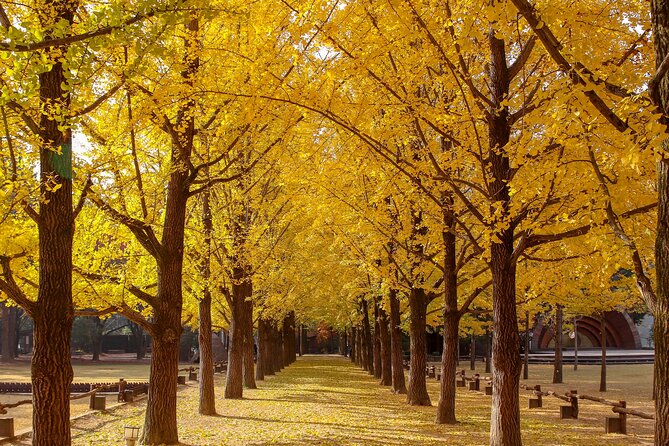 (Private tour) Nami Island + Railbike + Garden of morning calm - Garden of Morning Calm: seasonal beauty with mountain timing