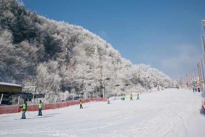 [Private Tour] Nami Island & Snow Viewing and Snow sled (More Members Less Cost) - Private guide + pickup: the real value in a long winter day