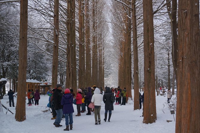 [Private Tour] Nami Island & Snow Viewing and Snow sled (More Members Less Cost) - Nami Island in winter: Winter Sonata vibes and serious cold