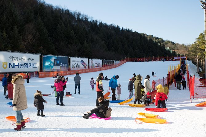[Private Tour] Nami Island & Snow Viewing and Snow sled (More Members Less Cost) - How the timing works: a full day without the usual stress