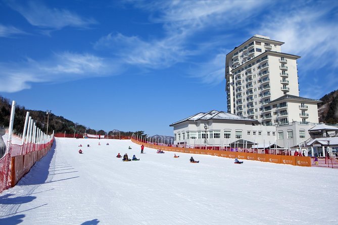 [Private Tour] Nami Island & Snow Viewing and Snow sled (More Members Less Cost) - The guide and private transport: what you should expect