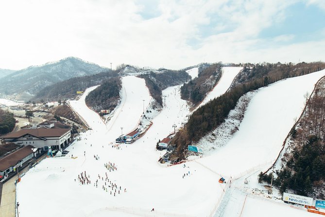 [Private Tour] Nami Island & Snow Viewing and Snow sled (More Members Less Cost) - Small but important tips to make the snow portion enjoyable