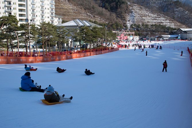 [Private Tour] Nami Island & Snow Viewing and Snow sled (More Members Less Cost) - Price and logistics: what you’re paying for (and what you still need)