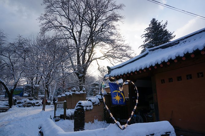 Private Tour Nami Island with Petite France 'and/or' The Garden of Morning Calm - Lunch, walking time, and why the day still feels comfortable