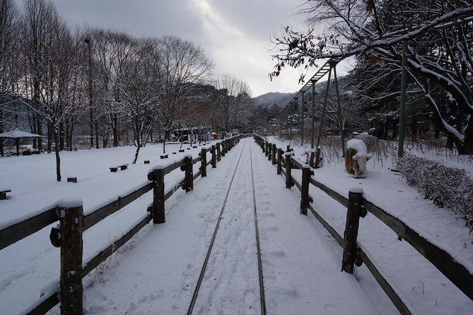 Private Tour Rail Bike & Nami Island & (Petite France or Garden of Morning Calm) - The Guide and Transport Factor: Comfort, Timing, and Real Answers