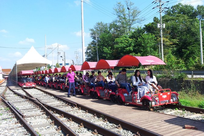 Private Tour Rail Bike & Nami Island & (Petite France or Garden of Morning Calm) - Price and Value: Why This Costs $196 (and When It Makes Sense)