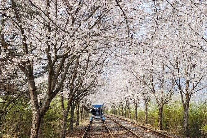 Private Tour to Alpaca world &Nami Island& Railbike with Tickets - Stop 2: Nami Island’s Song Village and Fairy Tale Village (with 2 hours that feel right)