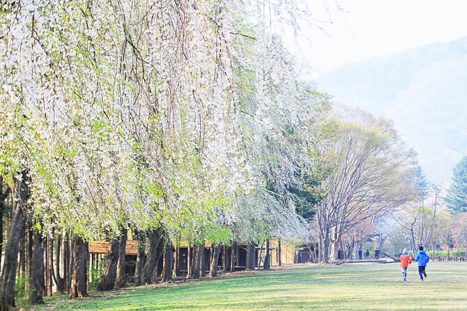 Private Tour to Alpaca world &Nami Island& Railbike with Tickets - Timing, weather, and how to make the most of the day