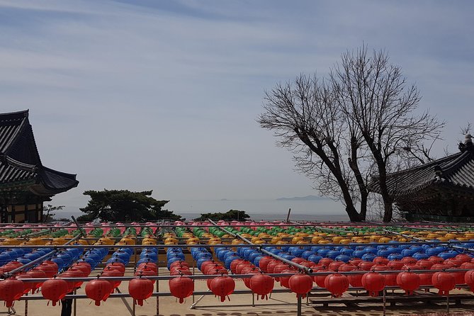 Private Trip to Seongmo Island(Temple) and North Korea Observatory+Kimchi Lesson - Bugeun-ri Dolmen: UNESCO history you can actually walk and feel