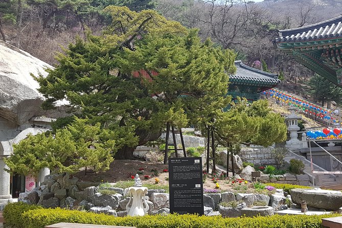 Private Trip to Seongmo Island(Temple) and North Korea Observatory+Kimchi Lesson - Kimchi making + Hanbok photos: the hands-on South Korea moment
