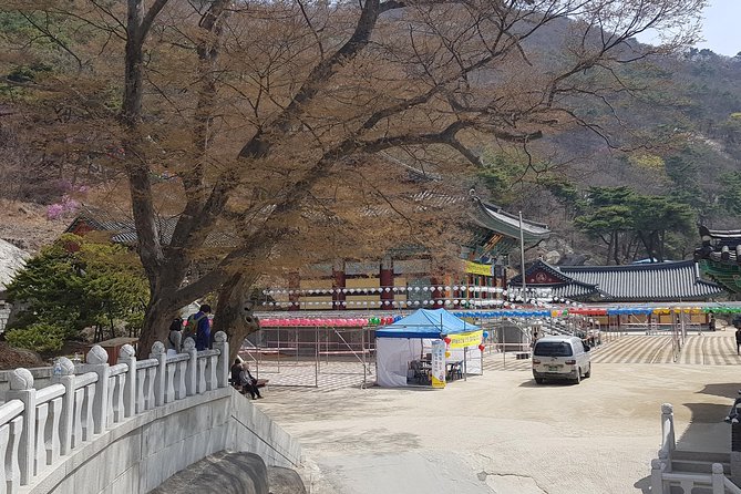 Private Trip to Seongmo Island(Temple) and North Korea Observatory+Kimchi Lesson - Price and value: $400 per group, and what you get for that