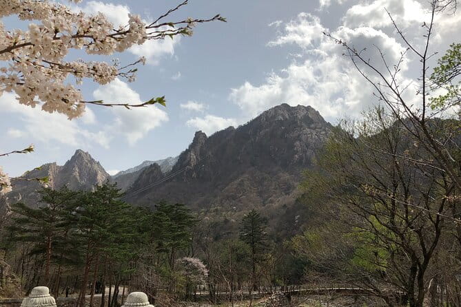 Seoraksan and Cherry Blossom Lake 1 day trip from Seoul - From Seoul To Sokcho: A 12–13 Hour Plan That Works