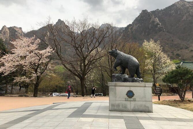 Seoraksan and Cherry Blossom Lake 1 day trip from Seoul - Tickets, Transport, and the $67 Value Equation