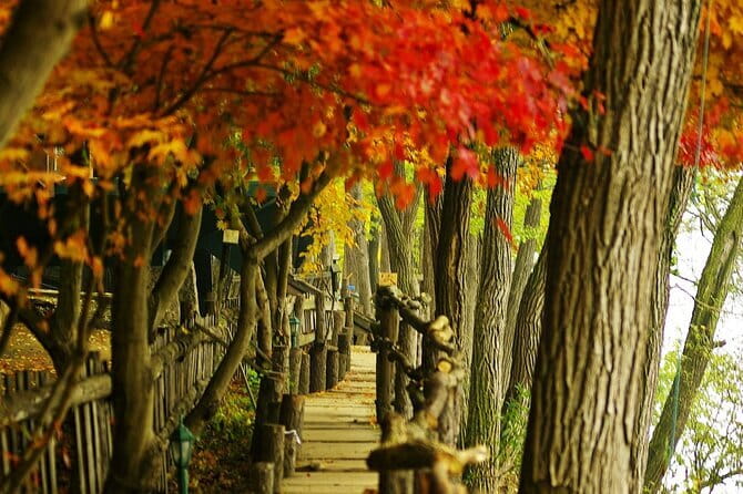 Seoraksan and Cherry Blossom Lake 1 day trip from Seoul - Timing and Pacing: How to Enjoy It Without Feeling Rushed