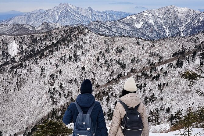 Seoraksan National Park & Nami Island - Key Highlights at a Glance