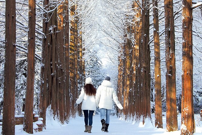 Seoraksan National Park & Nami Island - A One-Day Combo That Feels Like Two Different Trips