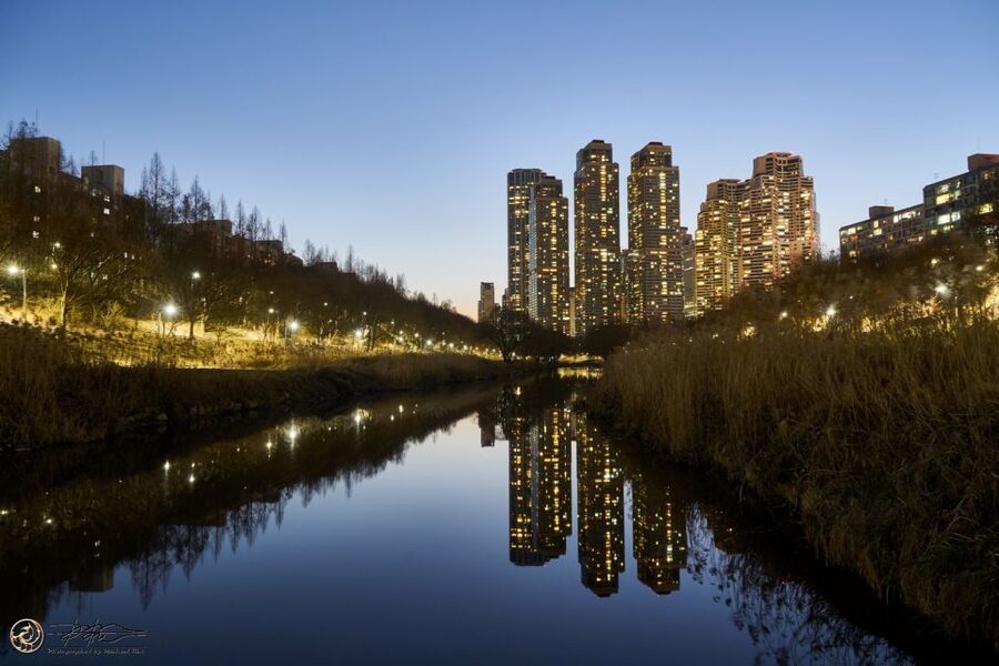 Seoul: 4-Hour Gangnam Walking Tour With Customized Itinerary - Key things that make this Gangnam tour different