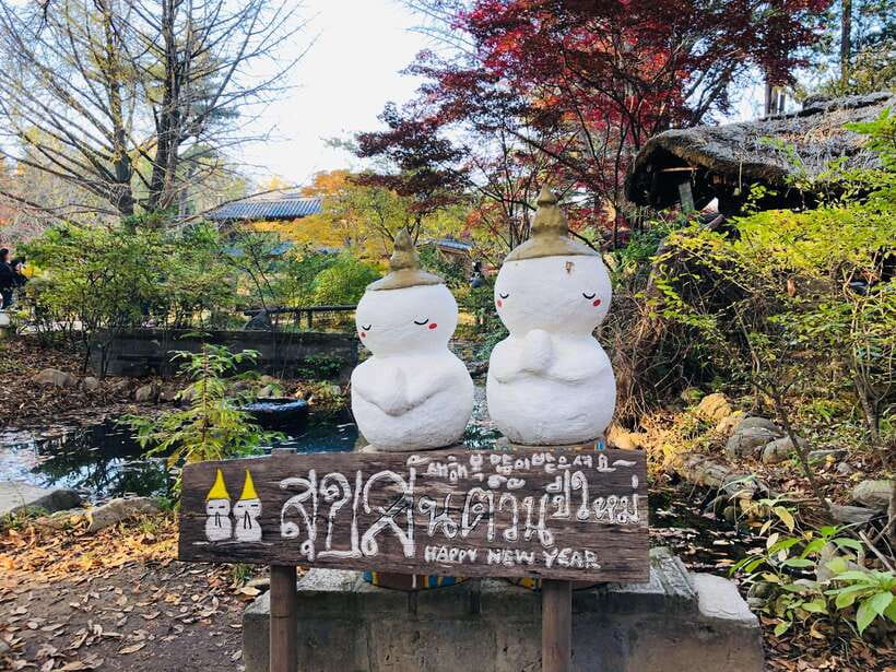Seoul: Alpaca, Nami, Morning Calm or Eobi (+Rail Bike) - What your $90 buys you, and where the extra costs can sneak in