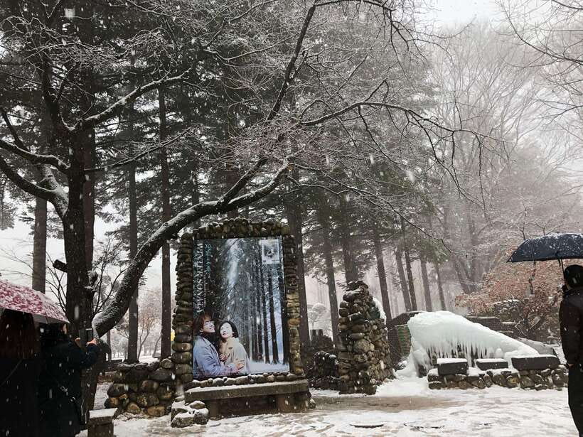 Seoul: Alpaca, Nami, Morning Calm or Eobi (+Rail Bike) - Final call: should you book it?