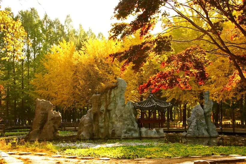 Seoul: Alpaca World and Nami Island (with Garden / Railbike) - Tips That Actually Help Before You Go