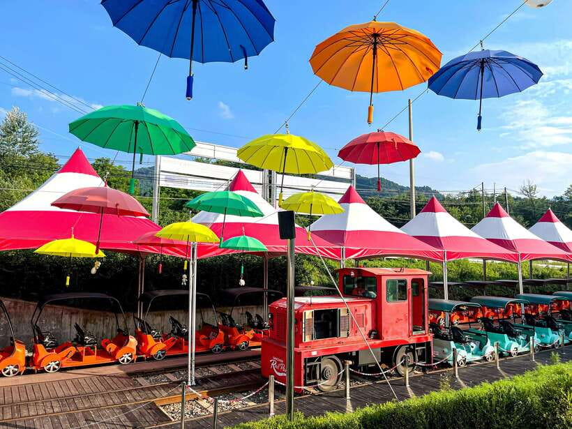 Seoul: Alpaca World & Nami Island optional Gangchon Railbike - How the Stops Work Together: Timing, Free Time, and Photo Strategy