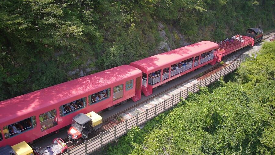 Seoul: Alpaca World & Nami Island optional Gangchon Railbike - Who Should Book This Seoul-to-Gangwon Day Trip