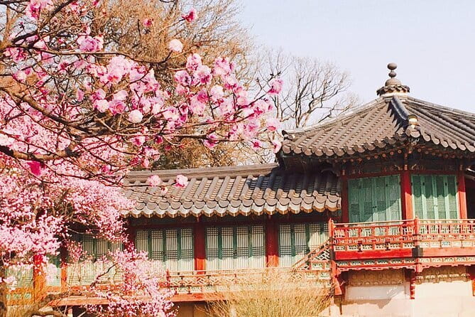 Seoul and Suburbs Private Customized Tour - The Garden of Morning Calm: 2 hours for a calmer pace