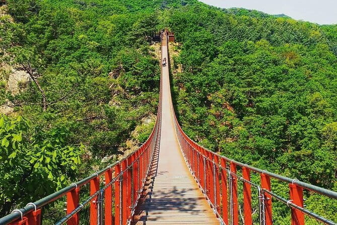 Seoul and Suburbs Private Customized Tour - Nami Island: 4 hours of photo-worthy paths and easy wandering