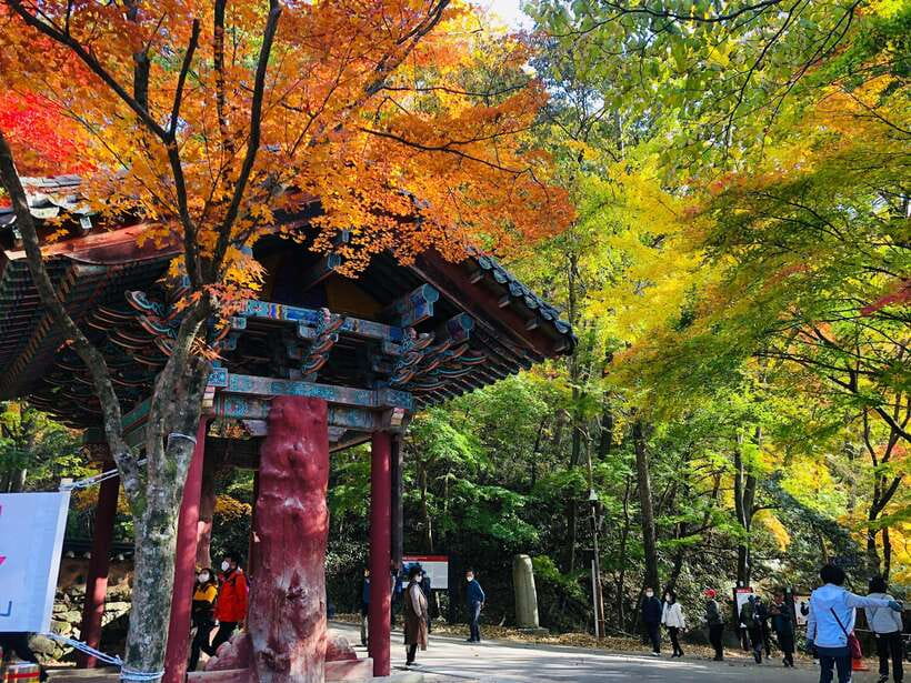 Seoul: Autumn Foliage - Mt. Naejang + Jeonju Hanok Village - Mt. Naejang autumn color: why this mountain hits later
