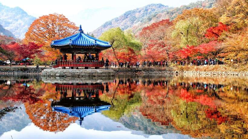 Seoul: Autumn Foliage - Mt. Naejang + Jeonju Hanok Village - Photo chances and guide help: why the English support is a big deal