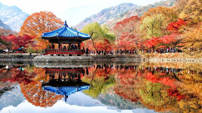 Seoul: Autumn Foliage - Mt. Naejang + Jeonju Hanok Village - Scheduling strategy: how to enjoy a long day without burning out