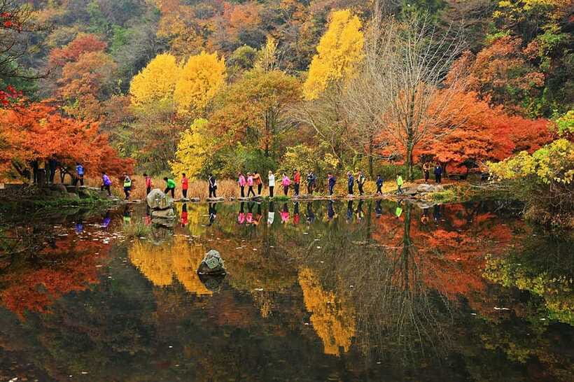 Seoul: Autumn Foliage - Mt. Naejang + Jeonju Hanok Village - Should you book this tour?